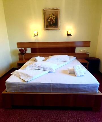 Фото номера Номер Делюкс (для 2 взрослых и 1 ребенка) Мотели MOTEL COOL г. Bărcăneşti 7